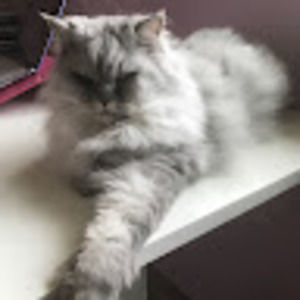 Meet your Posher, Vickie